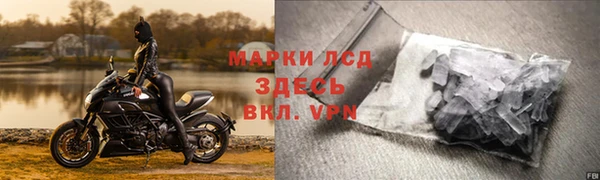мяу мяу мука Галич