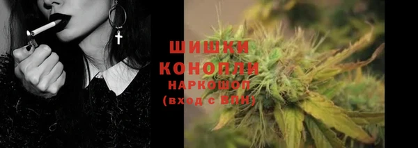 стаф Нефтегорск