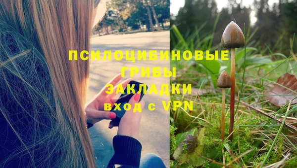 сатива Нея