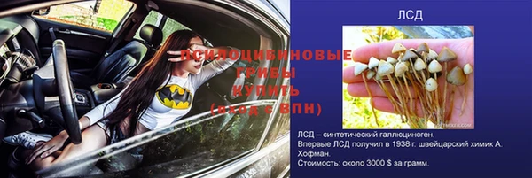 спиды Надым