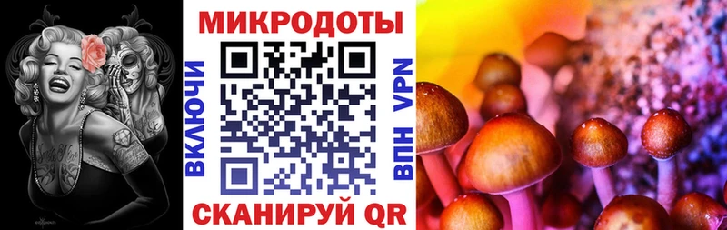 Псилоцибиновые грибы мухоморы  Купить где  Дмитриев 