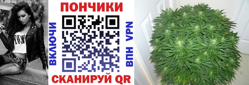 Купить закладки  Дмитриев  Марихуана Amnesia 